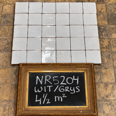 wit/grijze tegels | 10 x 10 cm | Artikelnummer 5204
